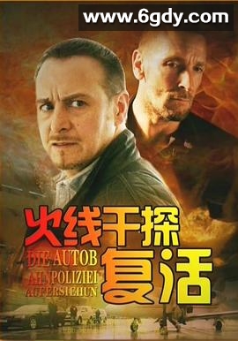火线干探之复活(2013)HD高清迅雷网盘磁力下载