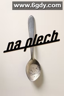 Na plech(2025)HD高清迅雷网盘磁力下载