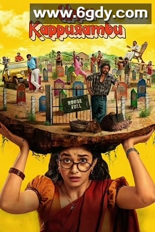 盐和樟脑(2025)HD高清迅雷网盘磁力下载