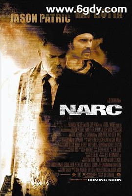 缉毒特警(2002)HD高清迅雷网盘磁力下载