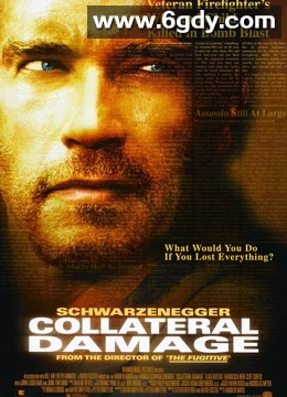 间接伤害(2002)HD高清迅雷网盘磁力下载