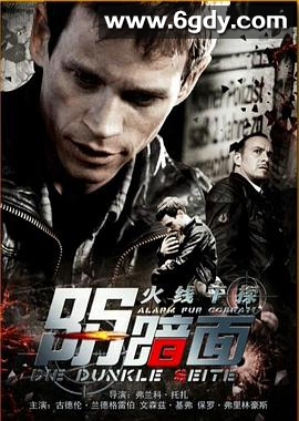火线干探之阴暗面(2014)HD高清迅雷网盘磁力下载