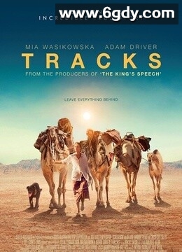 沙漠驼影(2013)HD高清迅雷网盘磁力下载