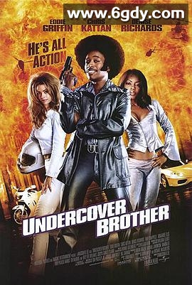 卧底兄弟(2002)HD高清迅雷网盘磁力下载