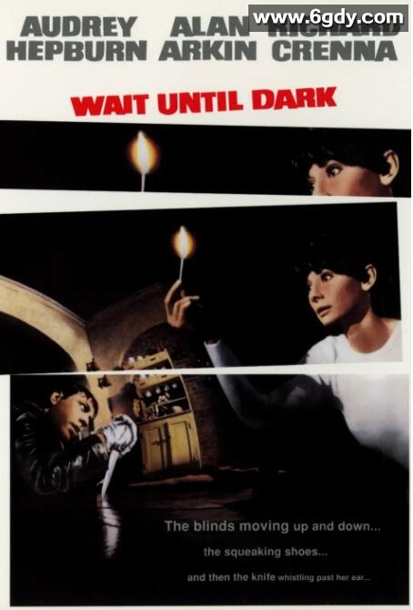 盲女惊魂记(1967)HD高清迅雷网盘磁力下载