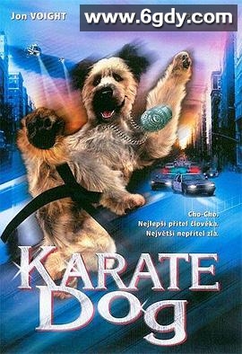 功夫神犬(2005)HD高清迅雷网盘磁力下载