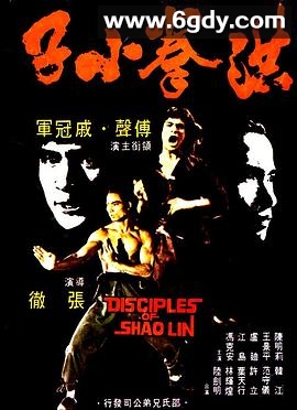 洪拳小子(1975)HD高清迅雷网盘磁力下载