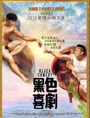 黑色喜剧(2014)HD高清迅雷网盘磁力下载