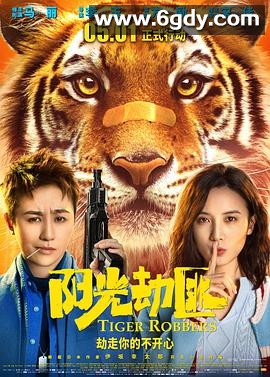 阳光劫匪(2021)HD高清迅雷网盘磁力下载