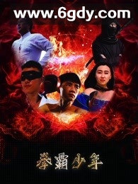 拳霸少年(2018)HD高清迅雷网盘磁力下载