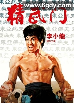 精武门(1972)HD高清迅雷网盘磁力下载