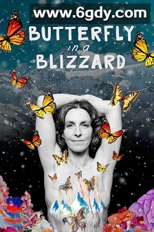 Butterfly in a Blizzard(2025)HD高清迅雷网盘磁力下载