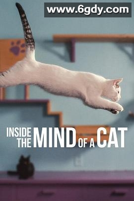 喵星人的奇思妙想(2022)HD高清迅雷网盘磁力下载