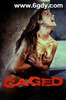 笼困(2011)HD高清迅雷网盘磁力下载