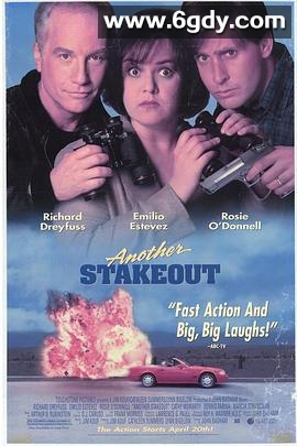 疯狂盯梢令(1993)HD高清迅雷网盘磁力下载