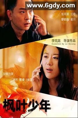 枫叶少年(2013)HD高清迅雷网盘磁力下载