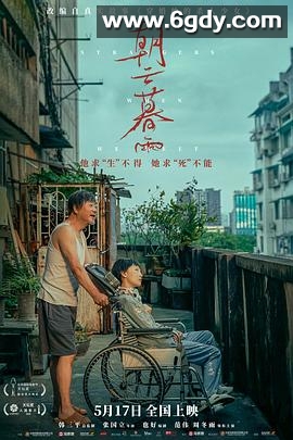 朝云暮雨(2024)HD高清迅雷网盘磁力下载