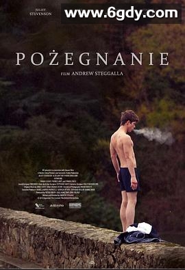 离别是美丽的(2015)HD高清迅雷网盘磁力下载