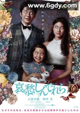 哀愁灰姑娘(2021)HD高清迅雷网盘磁力下载