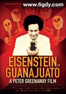 爱森斯坦在瓜纳华托(2015)HD高清迅雷网盘磁力下载