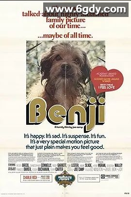 狗侦探(1974)超清高清迅雷网盘磁力下载