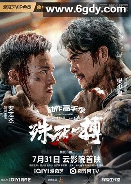 殊死一搏(2024)HD高清迅雷网盘磁力下载