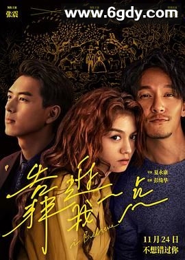 靠近我一点(2023)HD高清迅雷网盘磁力下载