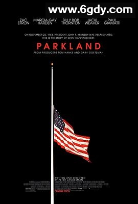 帕克兰医院(2013)HD高清迅雷网盘磁力下载