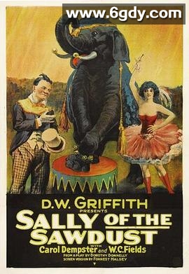 被遗弃的萨莉(1925)HD高清迅雷网盘磁力下载