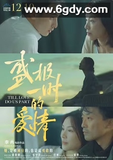 盛极一时的爱情(2022)HD高清迅雷网盘磁力下载