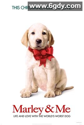 马利和我(2008)HD高清迅雷网盘磁力下载