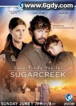 甜蜜湾之恋(2014)HD高清迅雷网盘磁力下载