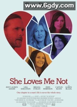 她不爱我(2013)HD高清迅雷网盘磁力下载