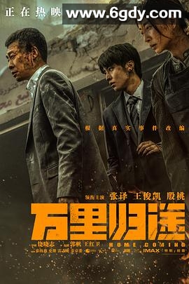 万里归途(2022)HD高清迅雷网盘磁力下载