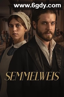 维也纳之殇(2023)HD高清迅雷网盘磁力下载