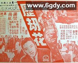 历劫花(1963)HD高清迅雷网盘磁力下载
