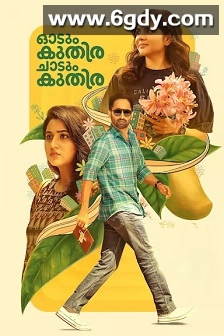 一匹马奔跑，一匹马跳跃(2025)HD高清迅雷网盘磁力下载