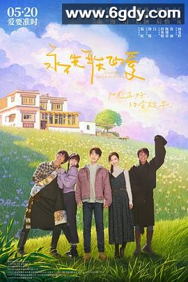 永不失联的爱(2025)HD高清迅雷网盘磁力下载