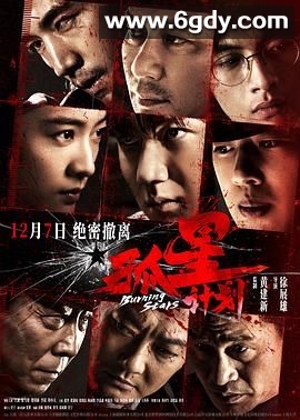 孤星计划(2024)HD高清迅雷网盘磁力下载