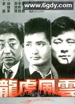 龙虎风云(1987)HD高清迅雷网盘磁力下载