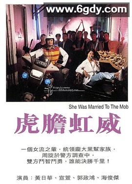 虎胆虹威(1995)HD高清迅雷网盘磁力下载