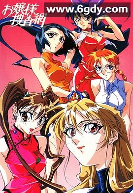 大小姐搜查网(1996)HD高清迅雷网盘磁力下载