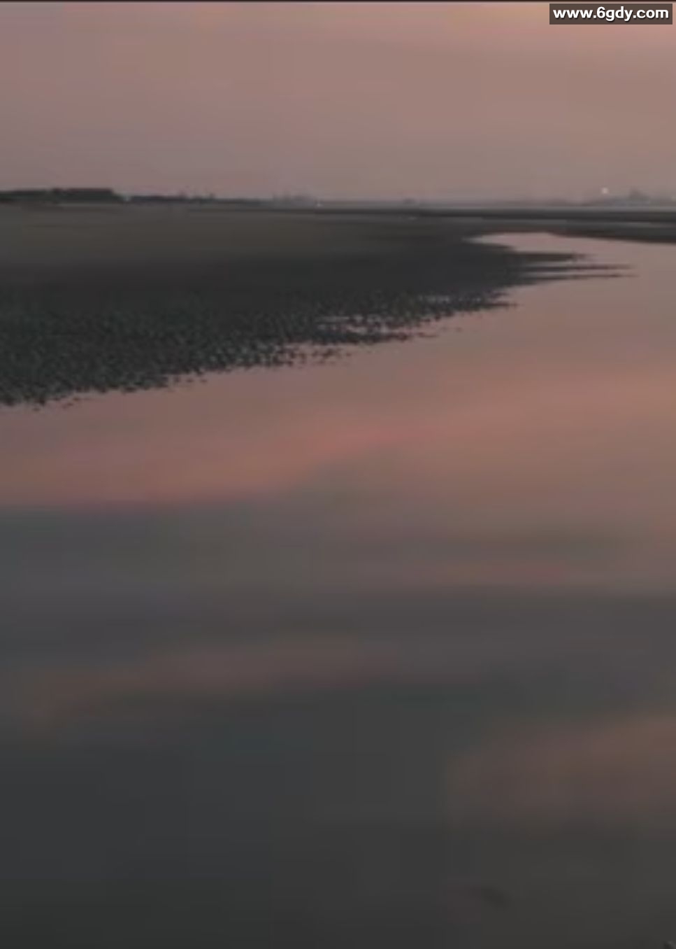 两个爸爸的故事​(2017)HD高清迅雷网盘磁力下载