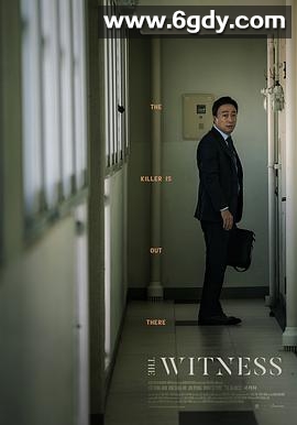 目击者(2018)HD高清迅雷网盘磁力下载