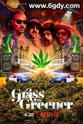 印度妙草(2019)HD高清迅雷网盘磁力下载