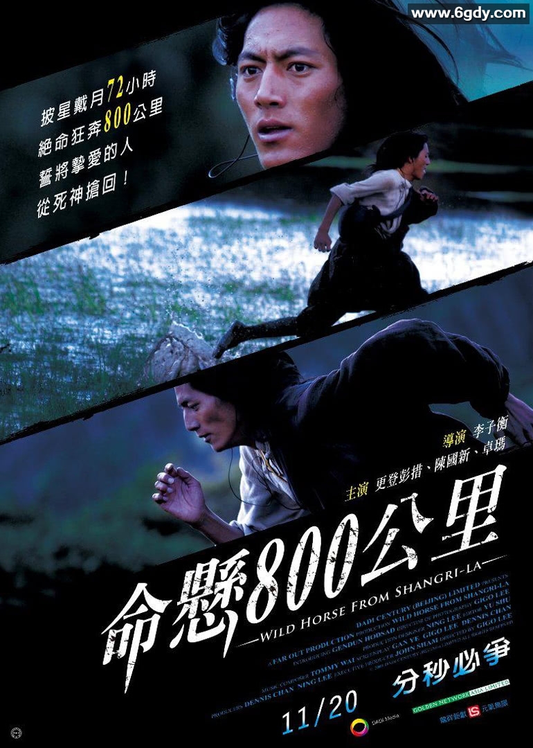 命悬800公里(2009)HD高清迅雷网盘磁力下载