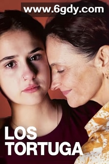 海龟们(2024)HD高清迅雷网盘磁力下载