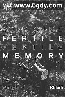 丰富的记忆(1981)HD高清迅雷网盘磁力下载