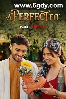 佳履奇缘(2021)HD高清迅雷网盘磁力下载