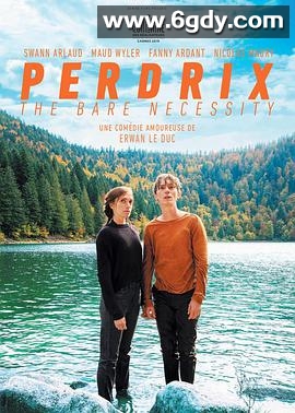 佩尔德利(2019)HD高清迅雷网盘磁力下载